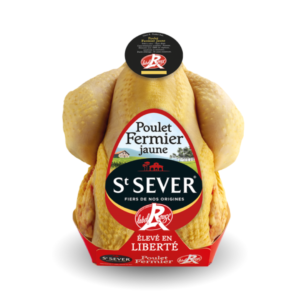 Pollo de grano amarillo