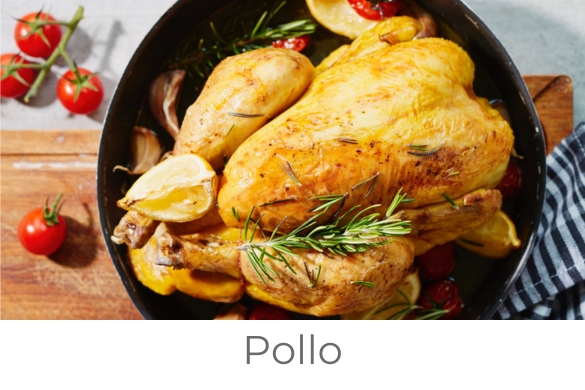 Pollo